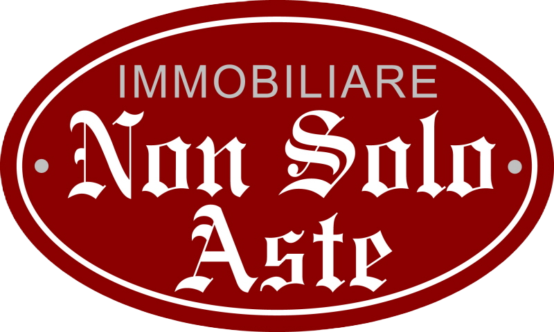 Immobiliare Non Solo Aste