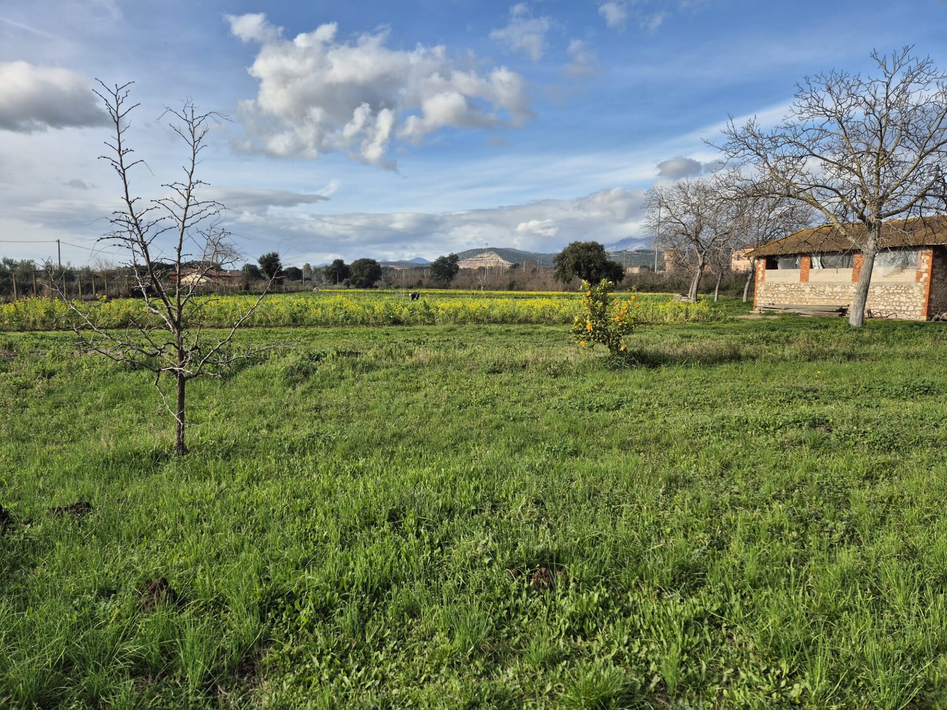 VENDESI CASA INDIPENDENTE – PONTINIA