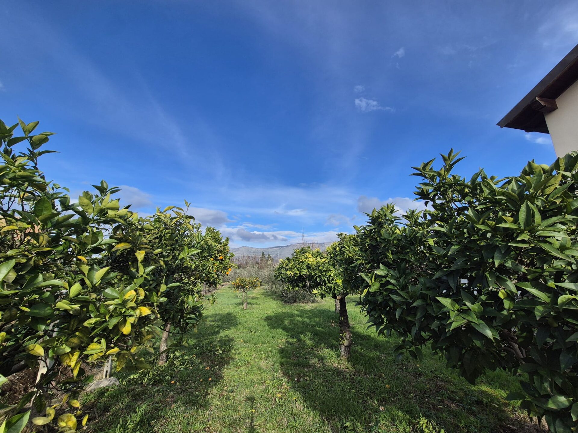 VENDESI CASA INDIPENDENTE – PONTINIA