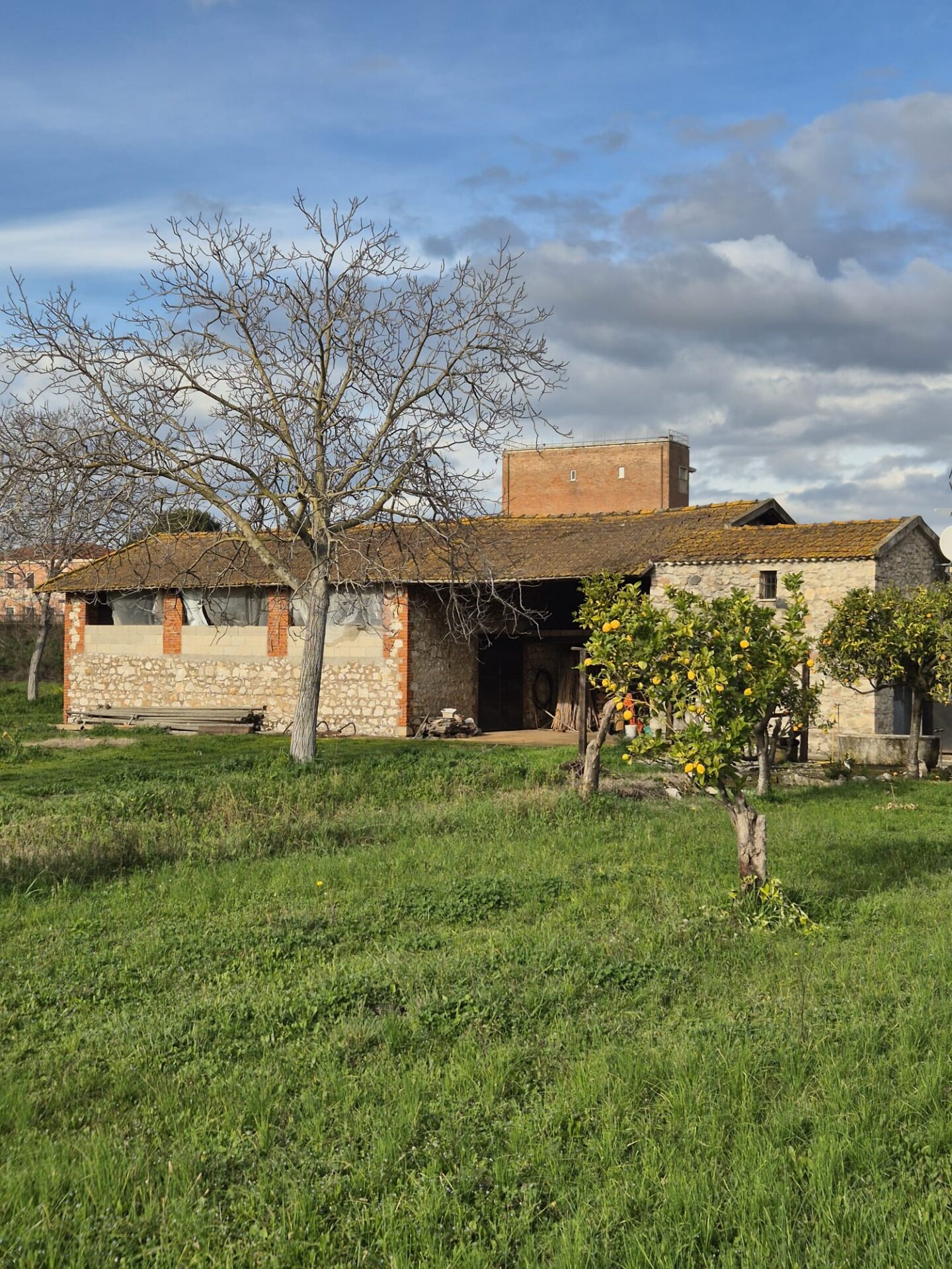 VENDESI TERRENO AGRICOLO – PONTINIA